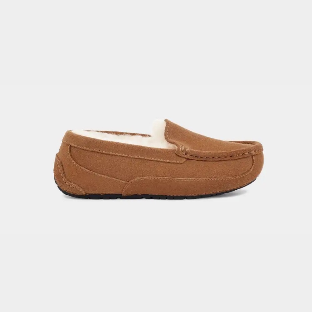 NEW ugg ascot big kids size 6 (women’s 8)